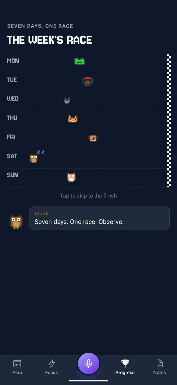 The week’s race: each day run by a different companion, with a line from the owl
